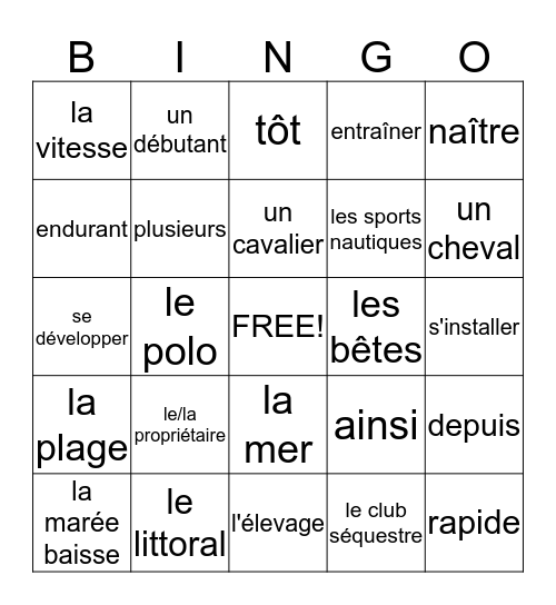 Les chevaux de polo  Bingo Card