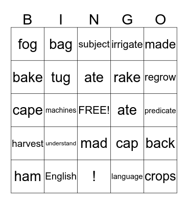 Review Bingo Card