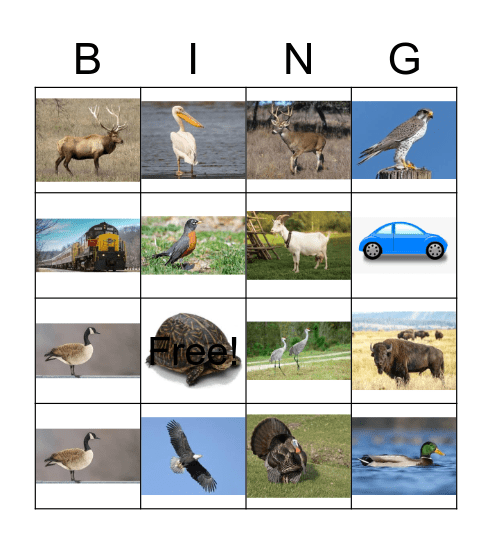 Safari Park Bingo Card