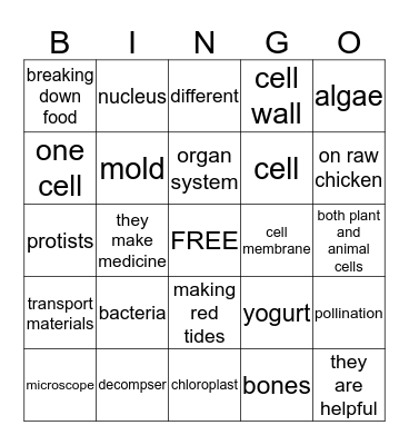 Cells & Microorganisms Bingp Bingo Card