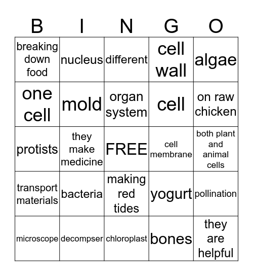 Cells & Microorganisms Bingp Bingo Card