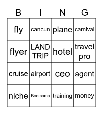 Millionaire Travel Pro Bingo Card