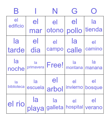 Spanish Review Bingo Card