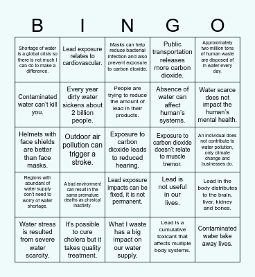 ENVIRONMENTAL DETERMINANTS Bingo Card