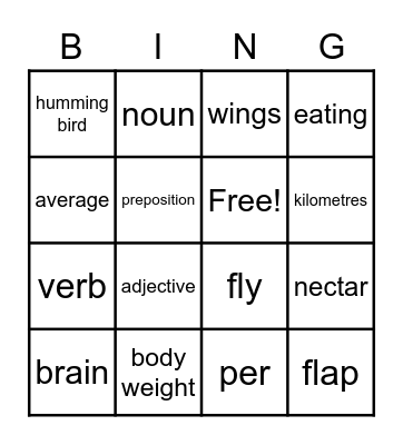 Lesson 8D: Hummingbirds Bingo Card