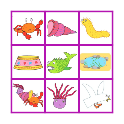 Sharing a shell Bingo Card