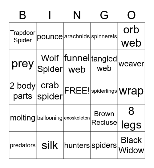 SPIDERS Bingo Card