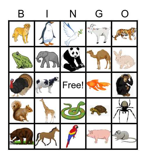 Animals Bingo Card