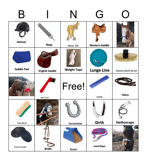 Horse Bingo! Bingo Card