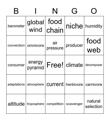 Atmosphere & Energy Flow in Ecosystem Bingo Card