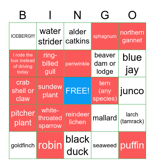 What signs of spring can you find with SPRINGO? Bingo Card