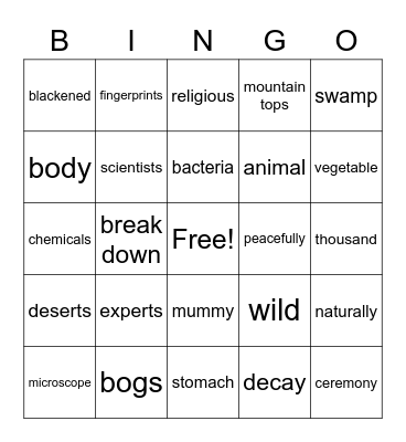 Mummies! Bingo Card