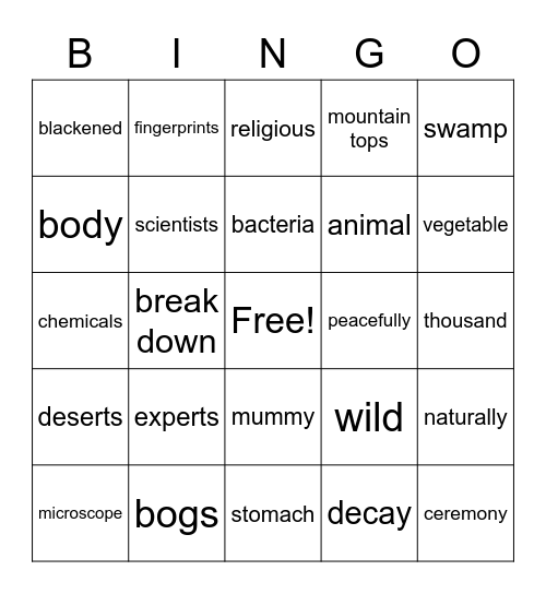 Mummies! Bingo Card