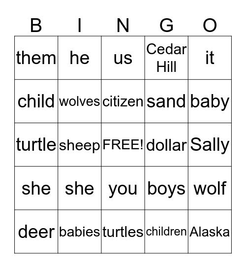 Various Types of Nouns Bingo Card