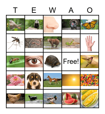 Tewa Bingo Card