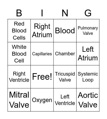Circulatory System Bingo Card