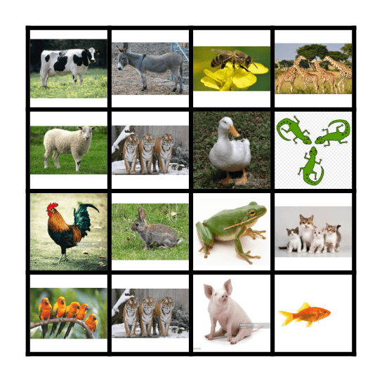 Kid's Box Bingo Card