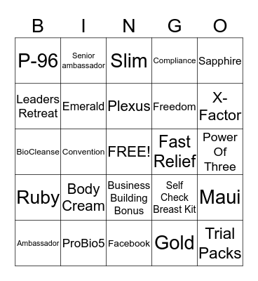 Ambassador Bingo Card