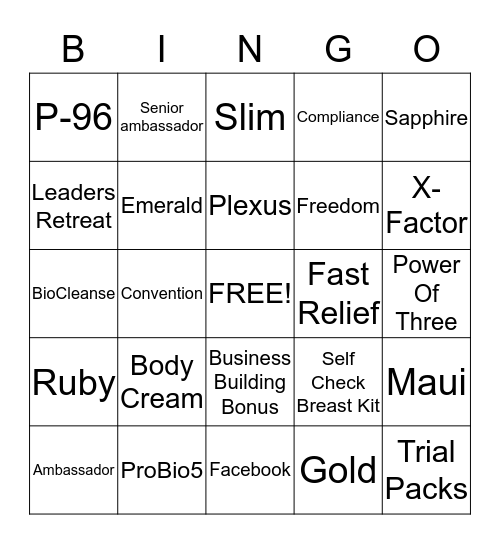Ambassador Bingo Card