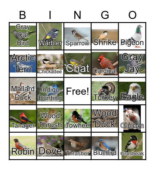 “Bird Buddies“ Bingo Card