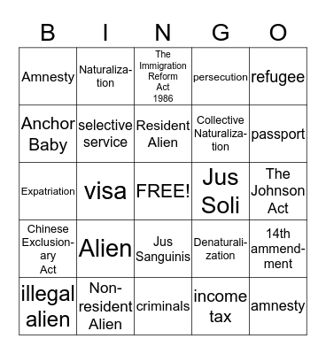 Civics - Chapter 14 Bingo Card