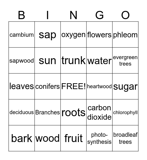 Trees   Bingo Card