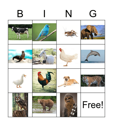 Animal Sound Bingo Card