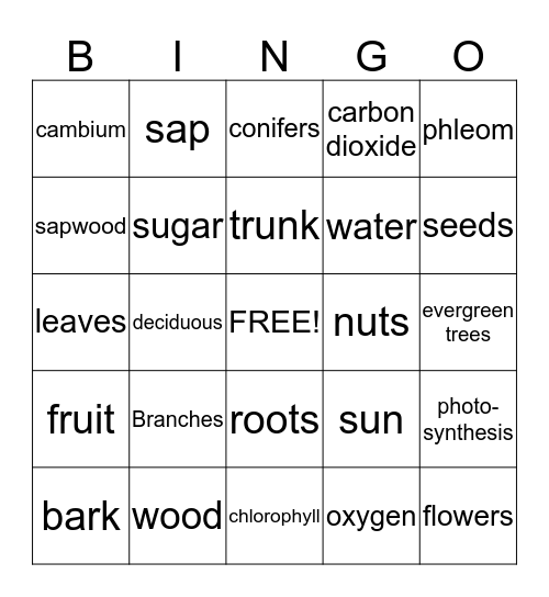 Trees   Bingo Card