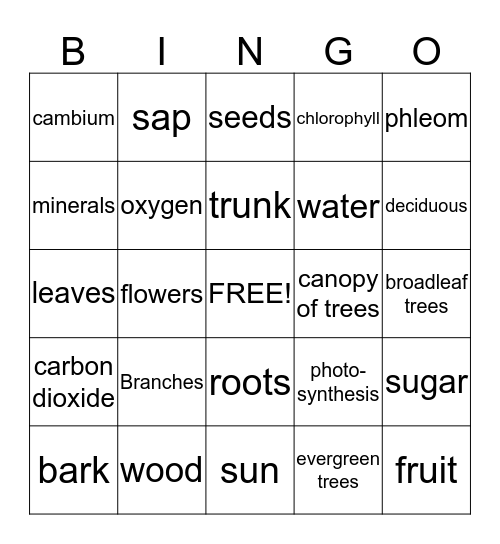 Trees   Bingo Card