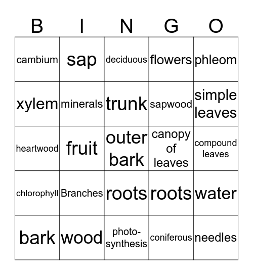 Trees   Bingo Card