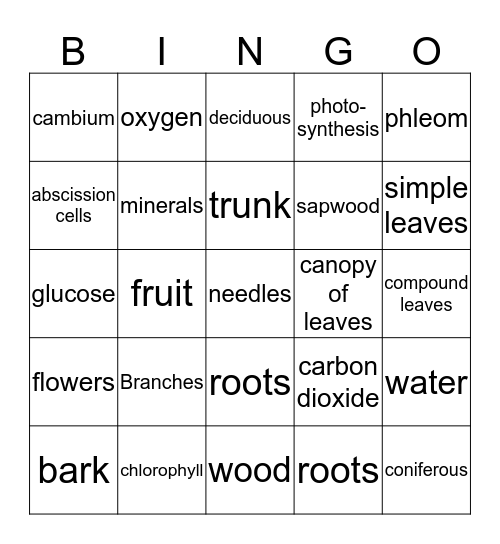 Trees   Bingo Card