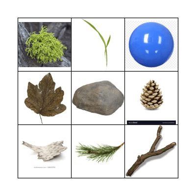 Spring Scavenger Hunt Bingo Card