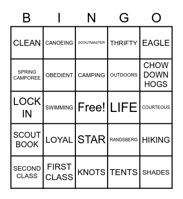 Troop 542 Bingo Card