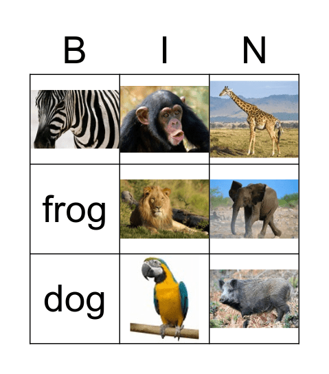 Wild Animals Bingo Card