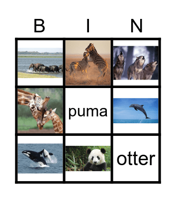 WILD ANIMALS Bingo Card