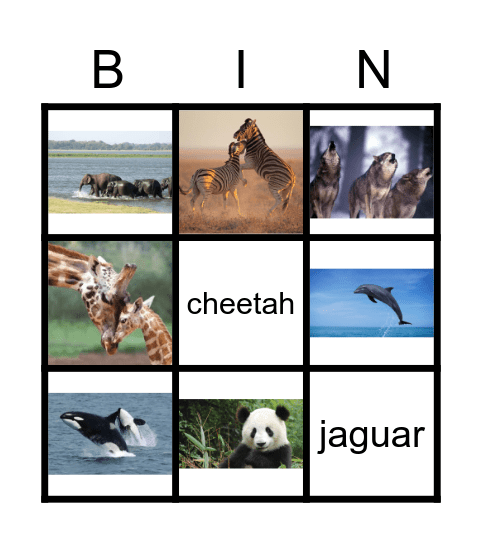 WILD ANIMALS Bingo Card