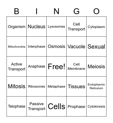 Cell Organelles, Cell Transport, Mitosis/Meiosis Bingo Card