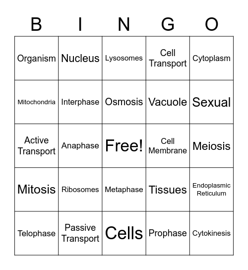 Cell Organelles, Cell Transport, Mitosis/Meiosis Bingo Card