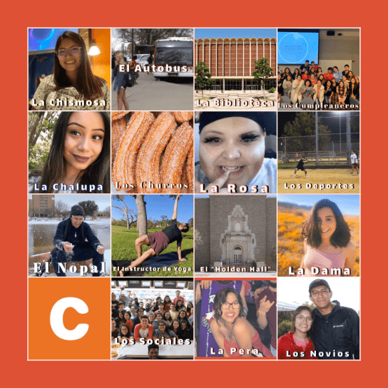 HSS LOTERIA Bingo Card