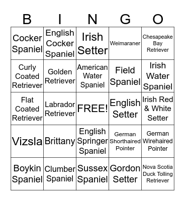 Sporting Breeds Bingo Card