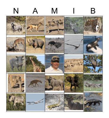 Namibia Wildlife and other strange Sites Bingo Card