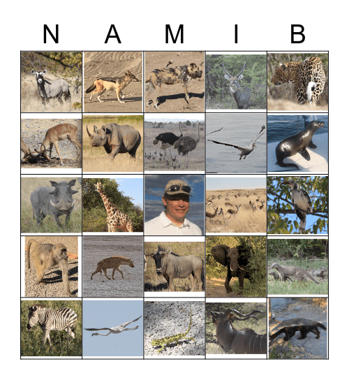 Namibia Wildlife and other strange Sites Bingo Card