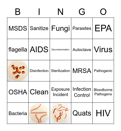 Infection Control Chapter 5 Bingo Card