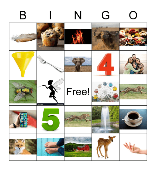 f sound practice Bingo Card