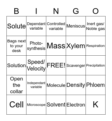 Science Revision Bingo Card