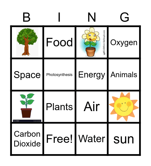 Science Bingo Card