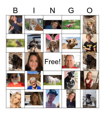 Family Bingo Card