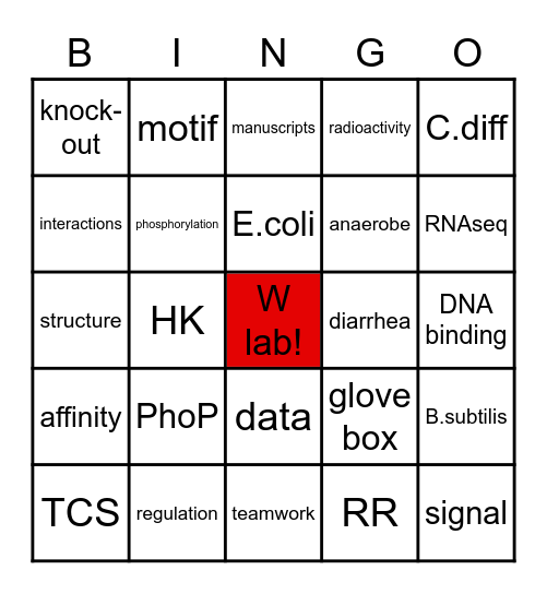 SM Bingo Card