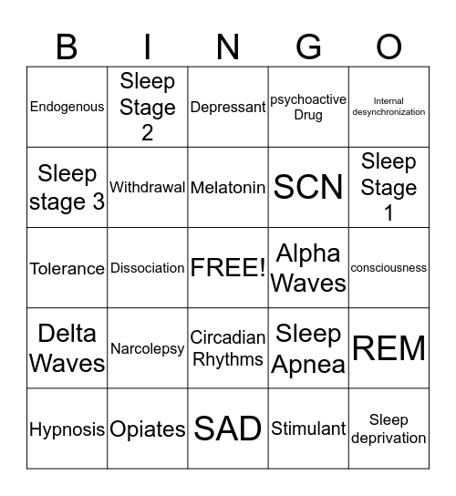 Body Rhythms Bingo Card