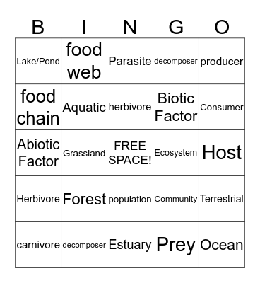 Food Chains Bingo Card